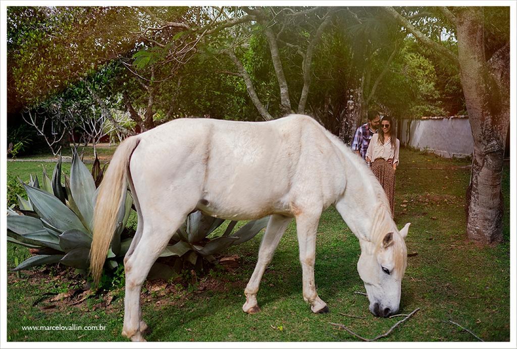 Pousada Fazendinha Buzios Exterior foto