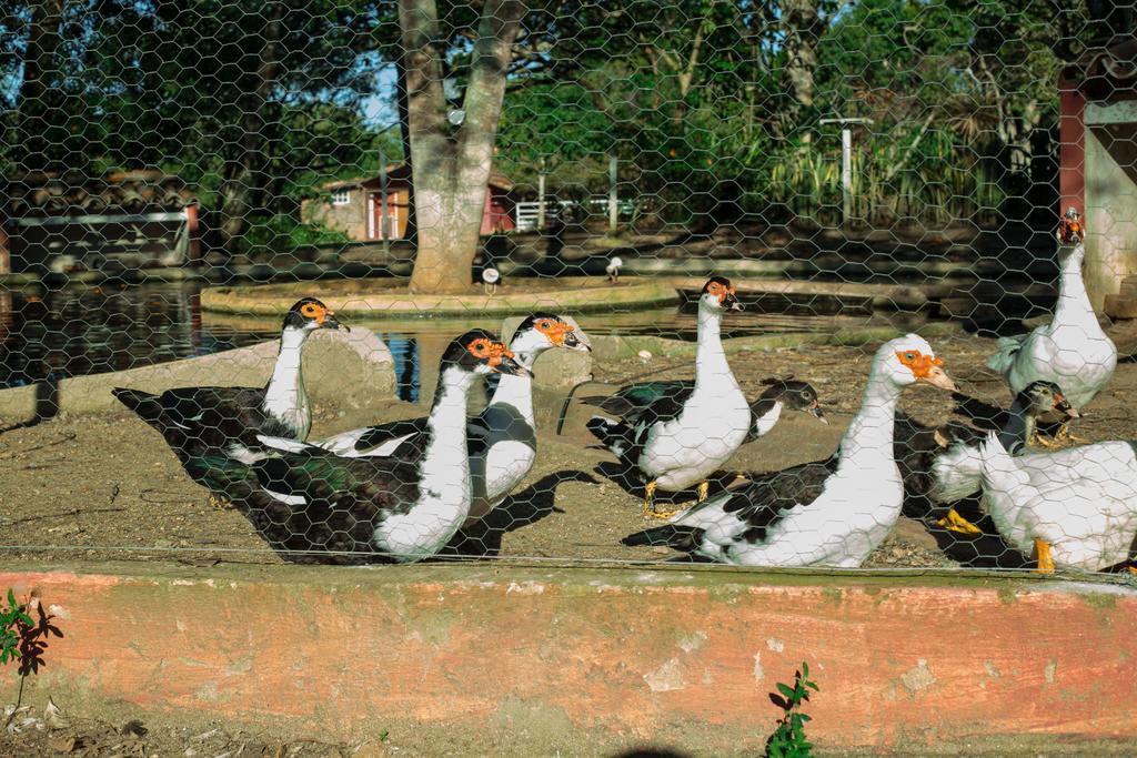 Pousada Fazendinha Buzios Exterior foto
