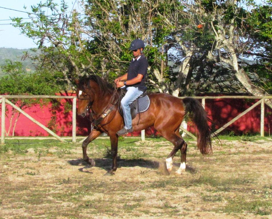 Pousada Fazendinha Buzios Exterior foto