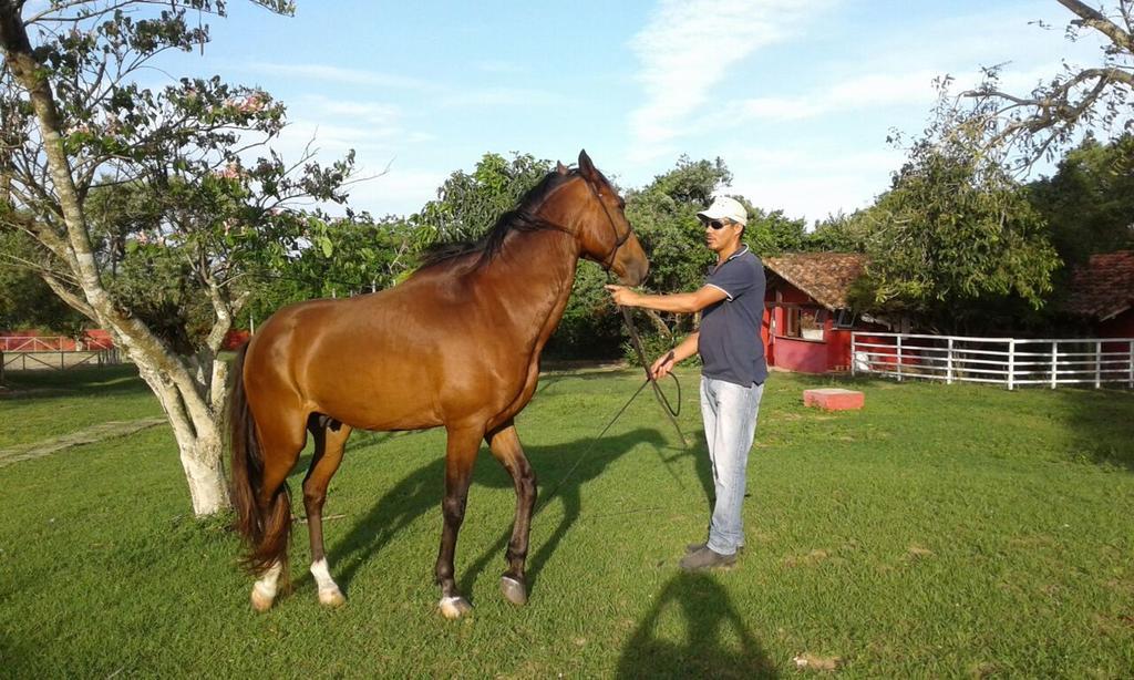 Pousada Fazendinha Buzios Exterior foto
